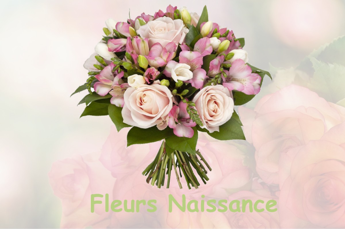 fleurs naissance ROUBION