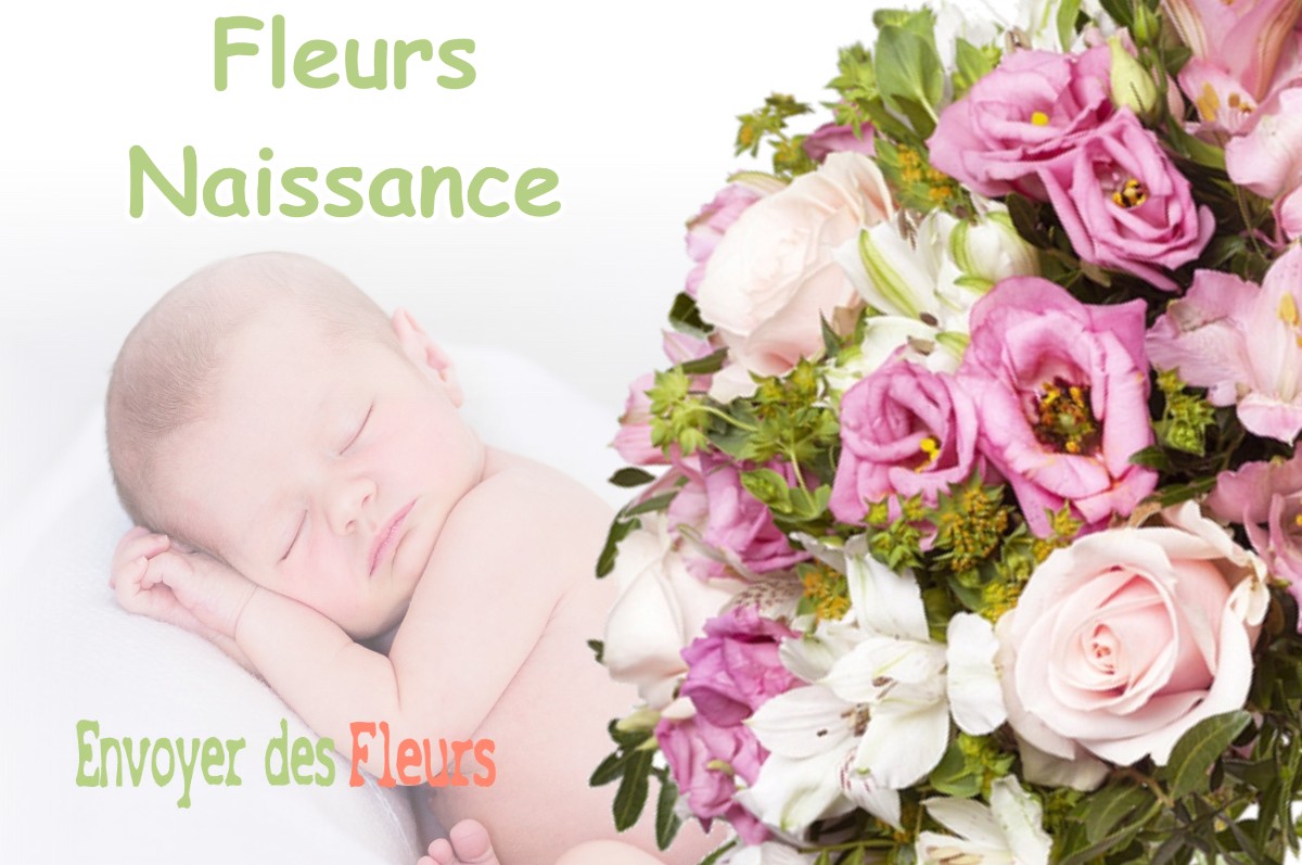 lIVRAISON FLEURS NAISSANCE à ROUBION